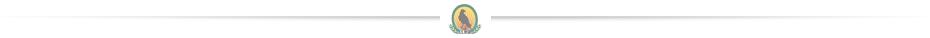 Bottom Icon Crow