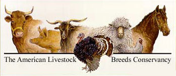 American Livestock Breed Conservancy (ALBC) (Click Image to Visit their Site)