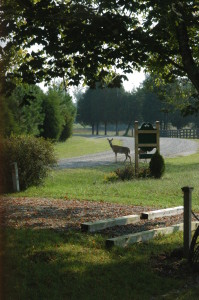 The farm and surrounding acreage are home to countless wildlife